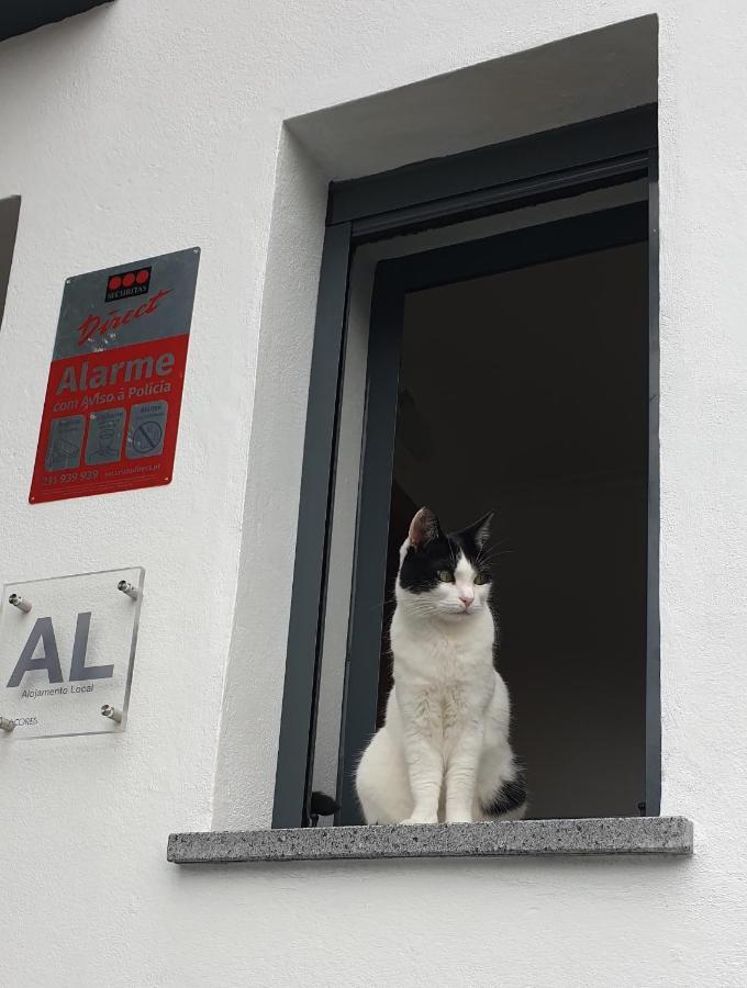 Ponta Delgada Caminhos Nos Levam Pela Ilha 아파트 외부 사진