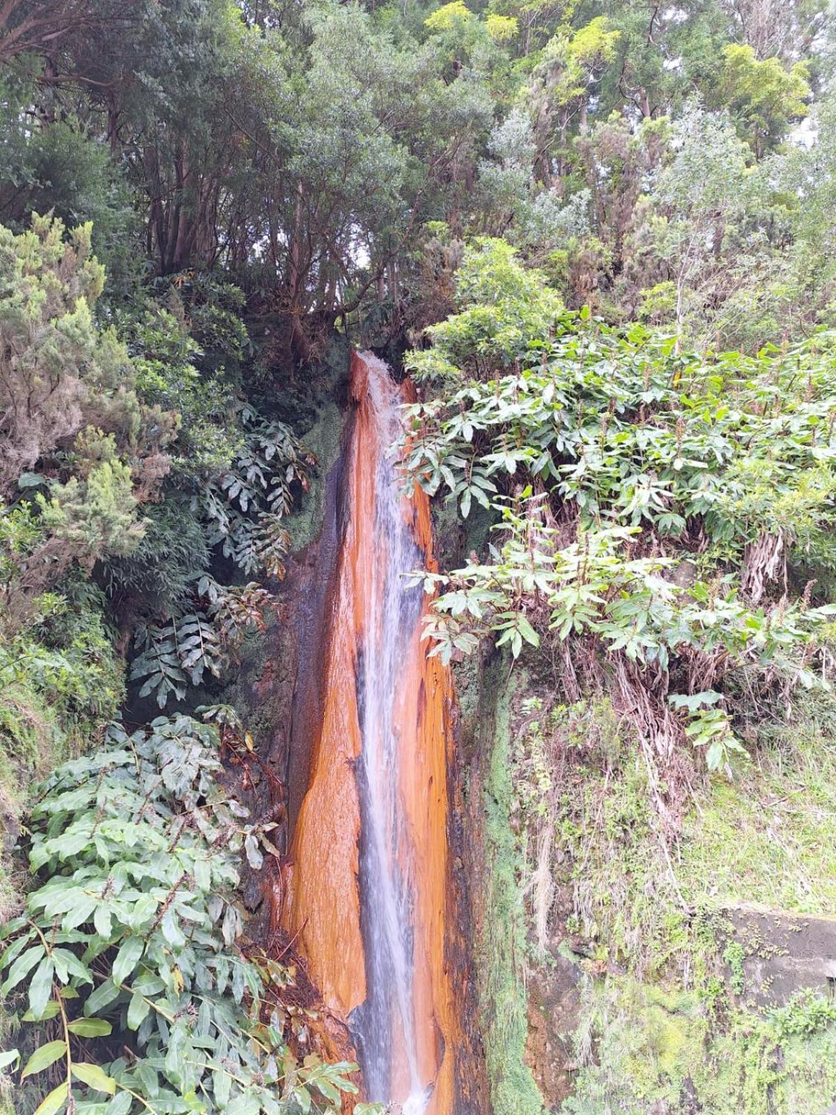 Ponta Delgada Caminhos Nos Levam Pela Ilha 아파트 외부 사진